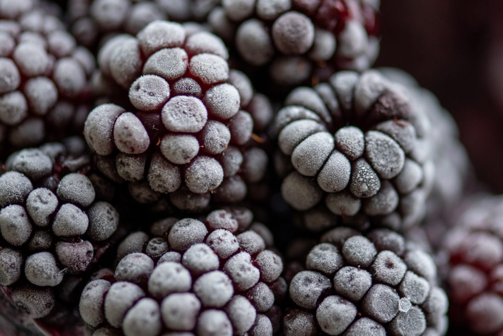 frozen fruits